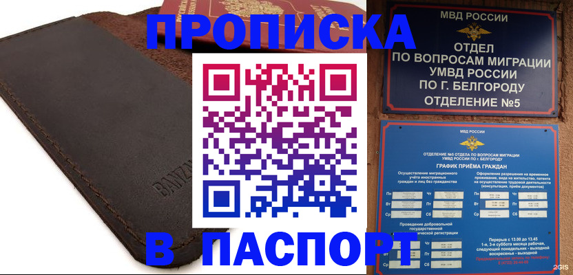 временная регистрация гарантия в Электрогорске